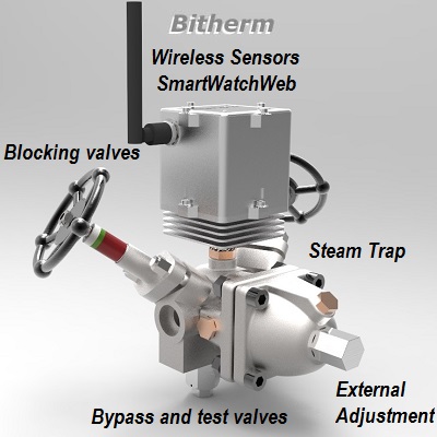 Intelligent steam trap "BiTherm SmartWatchWeb"
