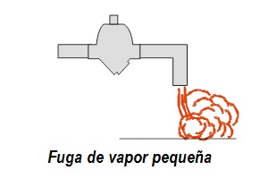 Inspección: Fuga vapor pequeña
