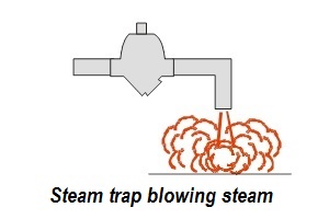 Steam trap blowing